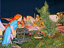%_tempFileName056%20presepio%202006%20%